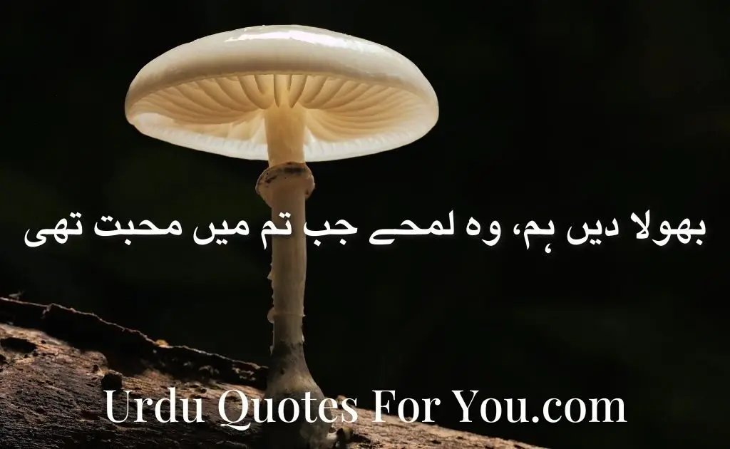 sad quotes in urdu