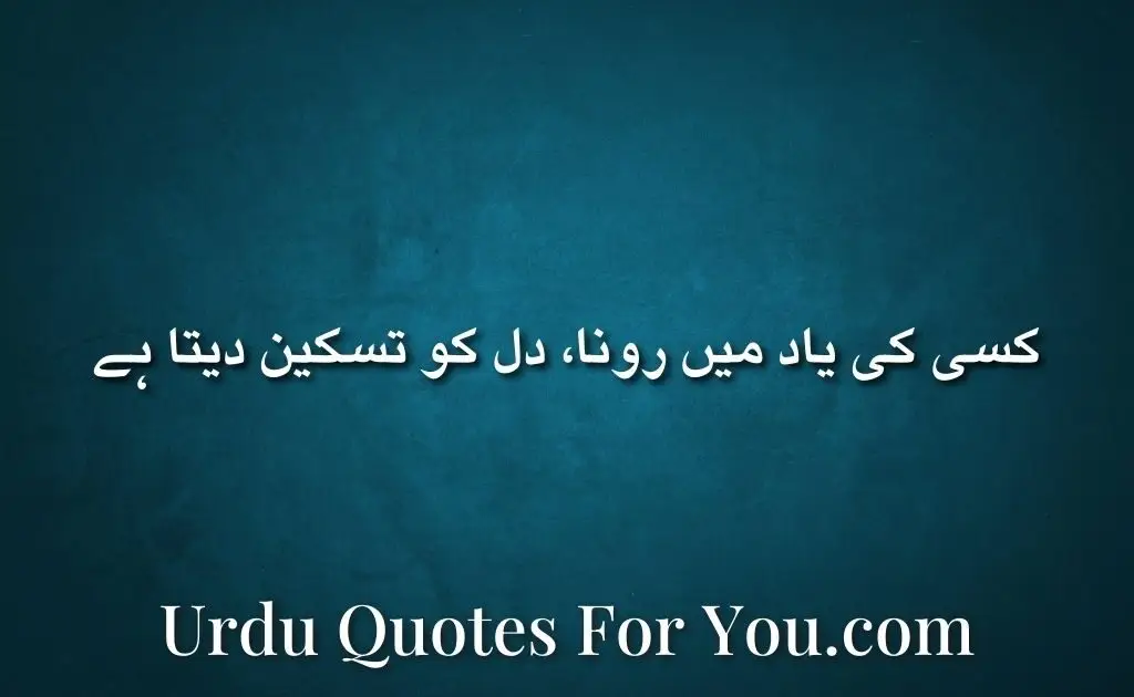 sad quotes in urdu