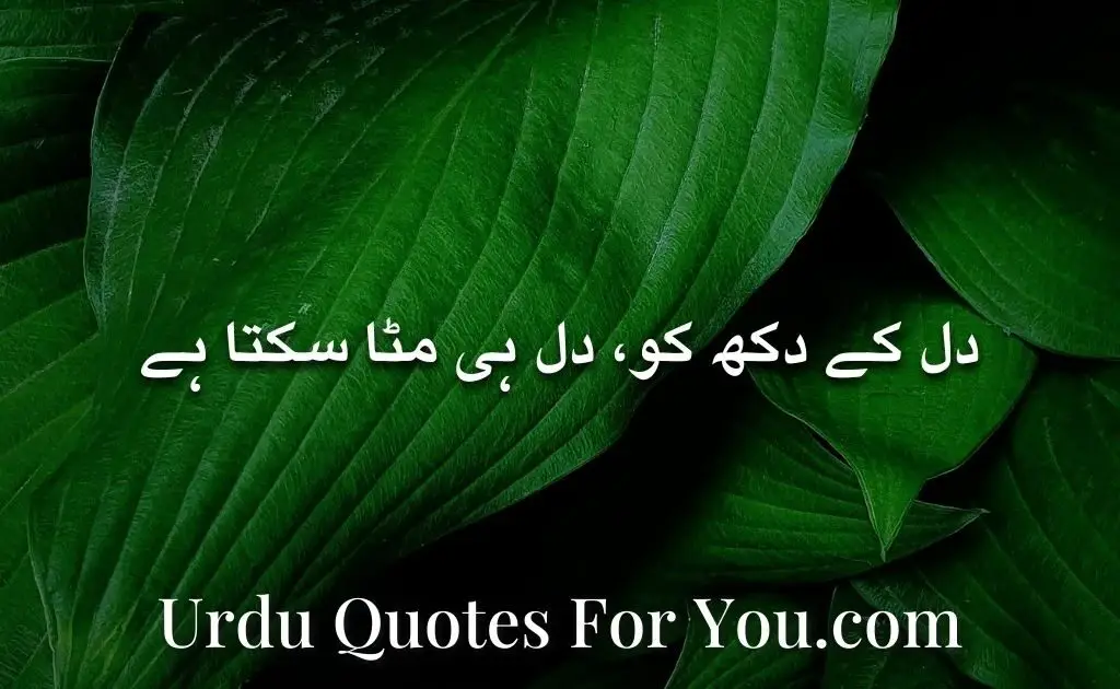 sad quotes in urdu